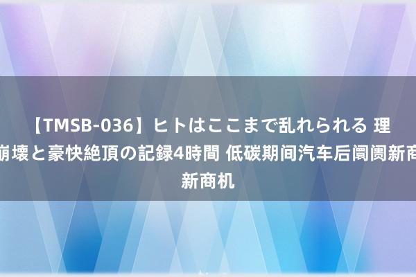 【TMSB-036】ヒトはここまで乱れられる 理性崩壊と豪快絶頂の記録4時間 低碳期间汽车后阛阓新商机