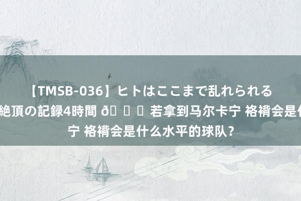 【TMSB-036】ヒトはここまで乱れられる 理性崩壊と豪快絶頂の記録4時間 ?若拿到马尔卡宁 袼褙会是什么水平的球队？