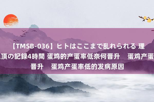 【TMSB-036】ヒトはここまで乱れられる 理性崩壊と豪快絶頂の記録4時間 蛋鸡的产蛋率低奈何晋升    蛋鸡产蛋率低的发病原因