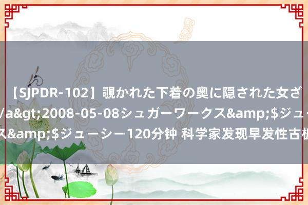 【SJPDR-102】覗かれた下着の奥に隠された女ざかりのエロス</a>2008-05-08シュガーワークス&$ジューシー120分钟 科学家发现早发性古板症患者数目激增