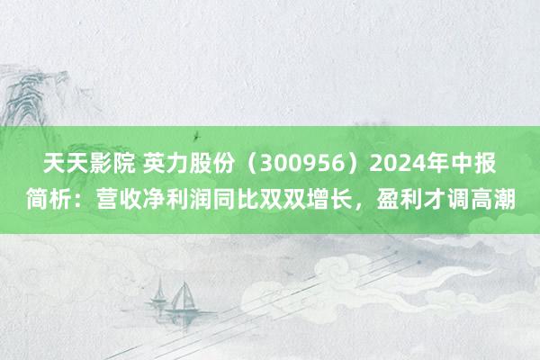 天天影院 英力股份（300956）2024年中报简析：营收净利润同比双双增长，盈利才调高潮