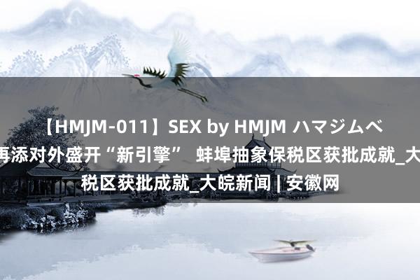 【HMJM-011】SEX by HMJM ハマジムベスト09 6時間 再添对外盛开“新引擎”  蚌埠抽象保税区获批成就_大皖新闻 | 安徽网