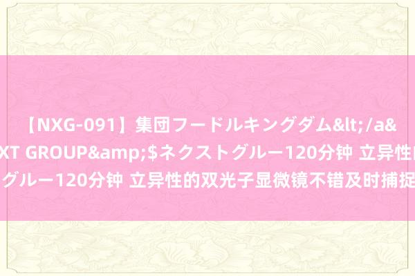 【NXG-091】集団フードルキングダム</a>2010-04-20NEXT GROUP&$ネクストグルー120分钟 立异性的双光子显微镜不错及时捕捉大脑的行径