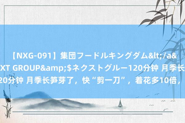 【NXG-091】集団フードルキングダム</a>2010-04-20NEXT GROUP&$ネクストグルー120分钟 月季长笋芽了，快“剪一刀”，着花多10倍，花型好意思，开爆棚