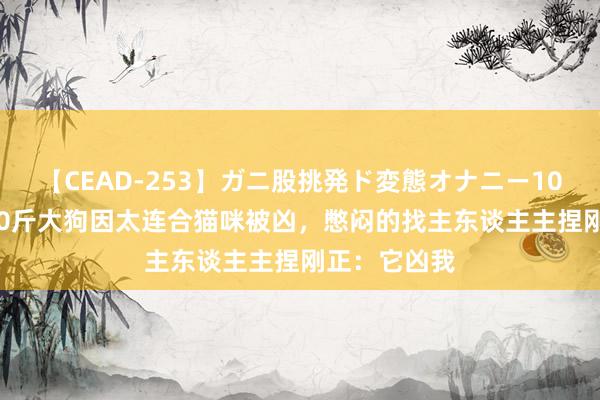 【CEAD-253】ガニ股挑発ド変態オナニー100人8時間 80斤大狗因太连合猫咪被凶，憋闷的找主东谈主主捏刚正：它凶我