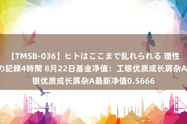 【TMSB-036】ヒトはここまで乱れられる 理性崩壊と豪快絶頂の記録4時間 8月22日基金净值：工银优质成长羼杂A最新净值0.5666