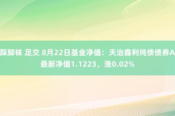 踩脚袜 足交 8月22日基金净值：天治鑫利纯债债券A最新净值1.1223，涨0.02%