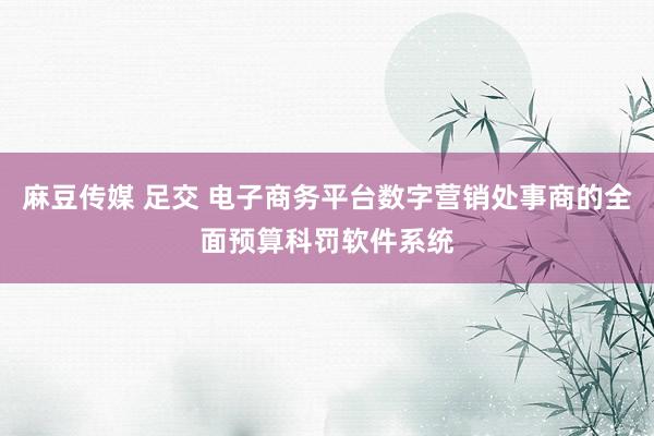 麻豆传媒 足交 电子商务平台数字营销处事商的全面预算科罚软件系统