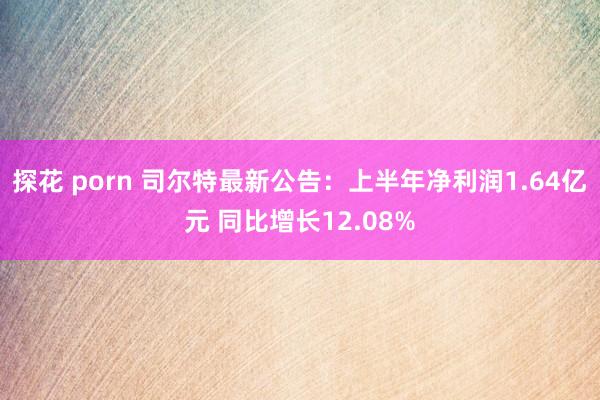 探花 porn 司尔特最新公告：上半年净利润1.64亿元 同比增长12.08%