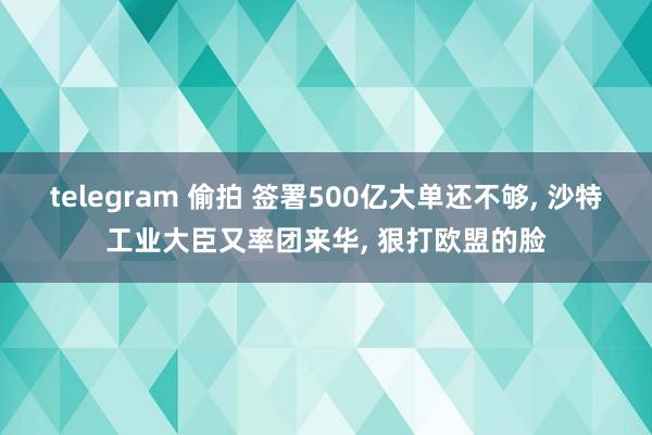 telegram 偷拍 签署500亿大单还不够, 沙特工业大臣又率团来华, 狠打欧盟的脸