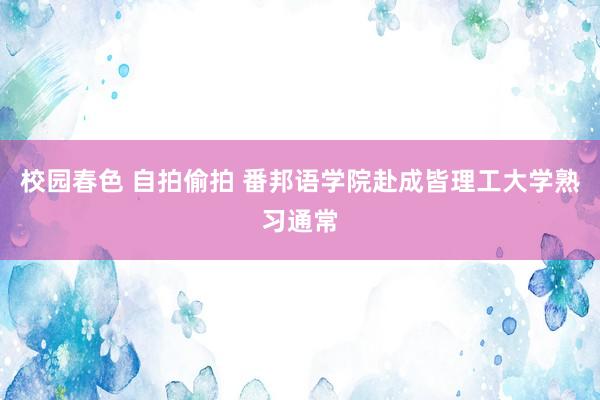 校园春色 自拍偷拍 番邦语学院赴成皆理工大学熟习通常