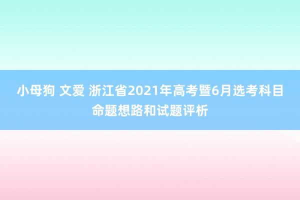 小母狗 文爱 浙江省2021年高考暨6月选考科目命题想路和试题评析