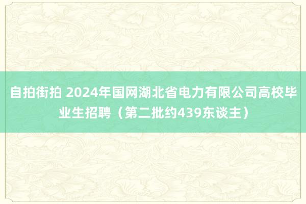 自拍街拍 2024年国网湖北省电力有限公司高校毕业生招聘（第二批约439东谈主）