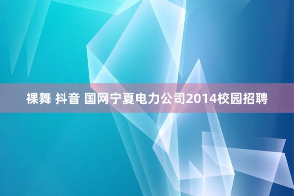 裸舞 抖音 国网宁夏电力公司2014校园招聘