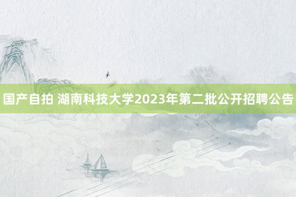 国产自拍 湖南科技大学2023年第二批公开招聘公告