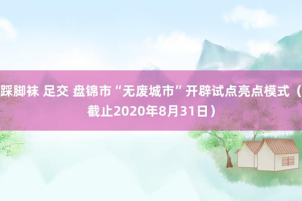 踩脚袜 足交 盘锦市“无废城市”开辟试点亮点模式（截止2020年8月31日）